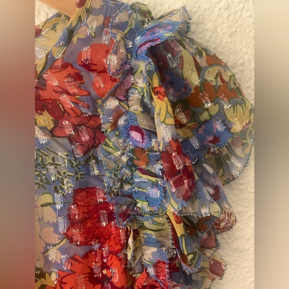 NWT Anthropologie Velvet “Keiara” Chiffon Ruffle Sleeve Top -XS - Picture 9 of 16